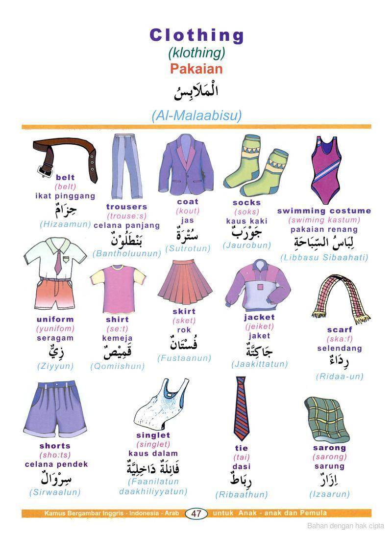 Kamus Bahasa  Arab  Bergambar Almachzumi s Blog