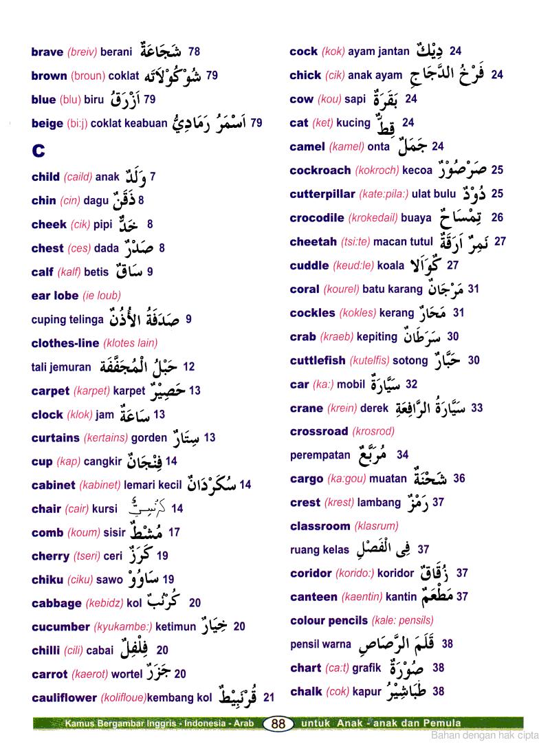 Kamus Bahasa Arab Bergambar (20)  Almachzumi's Blog